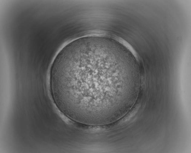 X0000111031099200907021533