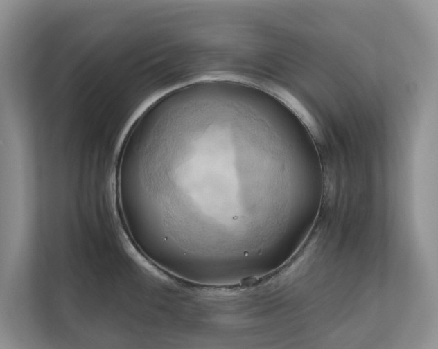 X0000111031100200907021533
