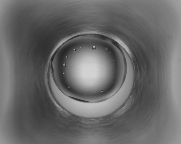 X0000111031101200907021533
