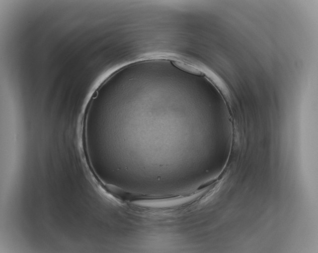 X0000111031102200907021533