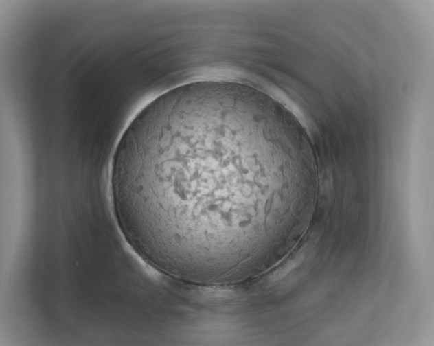 X0000111031103200907021533