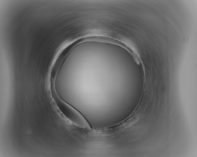 X0000111031104200907021533