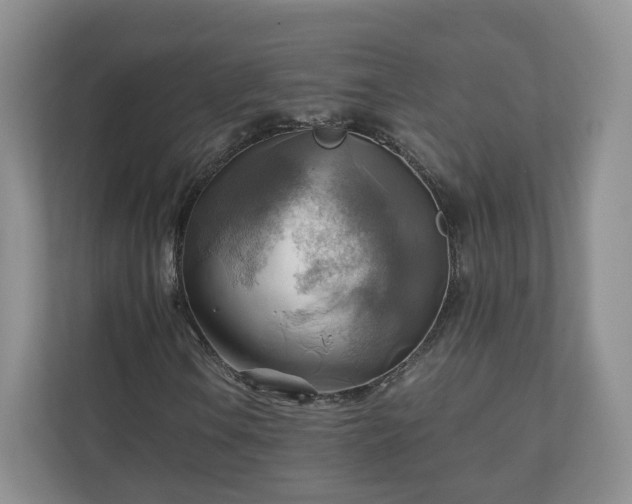 X0000111031106200907021532