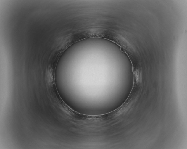 X0000111031107200907021532