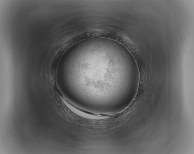 X0000111031109200907021532