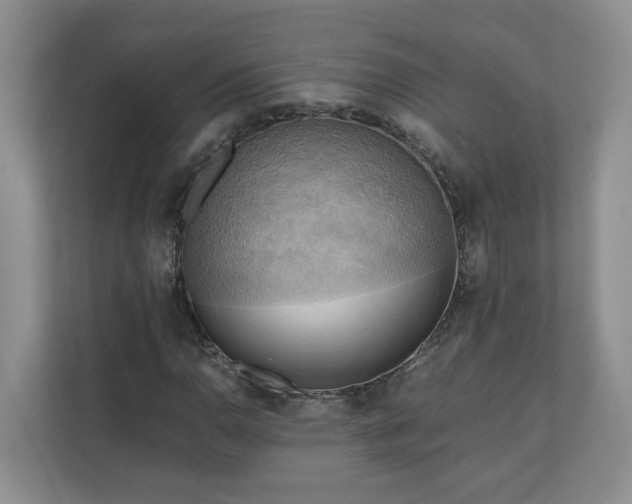 X0000111031110200907021532