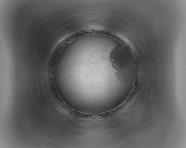 X0000111031112200907021532