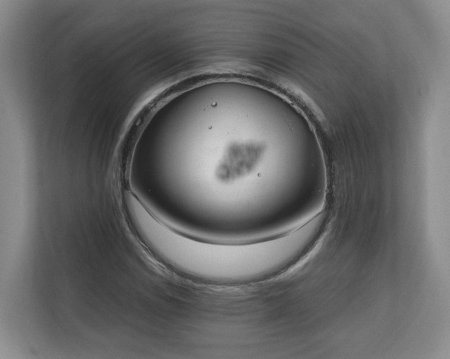 X0000111031114200907021532