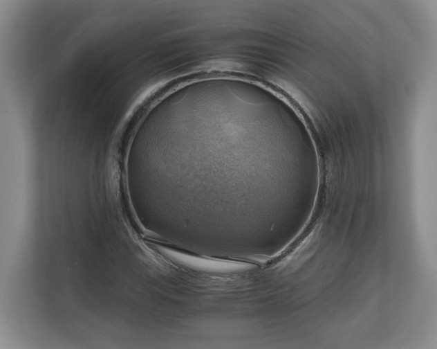 X0000111031115200907021532