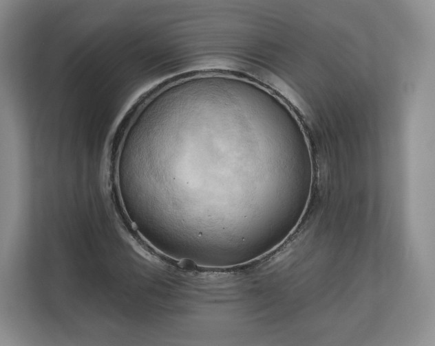 X0000111031116200907021532