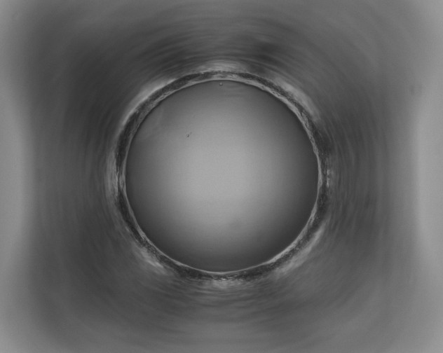 X0000111031117200907021533