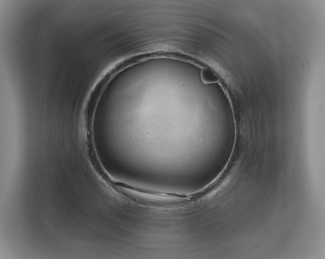 X0000111031118200907021533