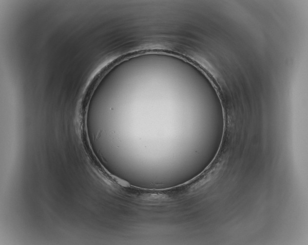 X0000111031119200907021533