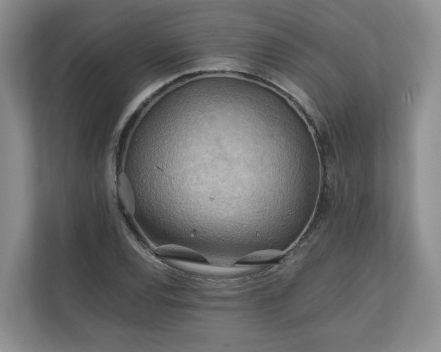 X0000111031120200907021533
