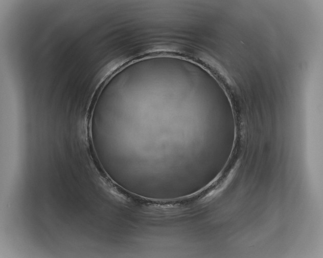 X0000111031121200907021533