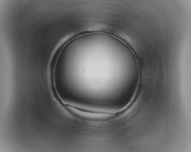 X0000111031122200907021533