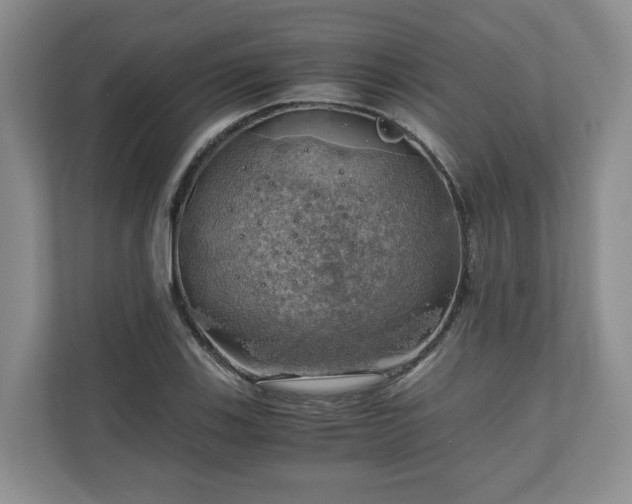 X0000111031123200907021533