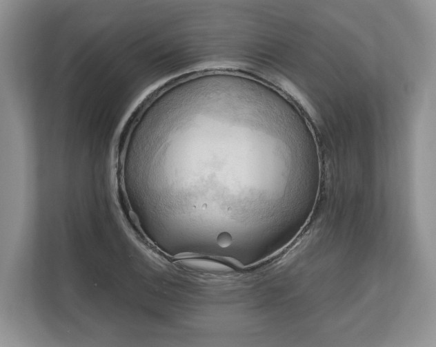 X0000111031124200907021533