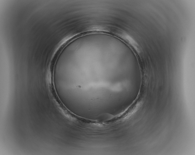 X0000111031125200907021533