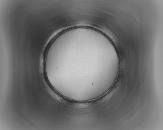 X0000111031126200907021533