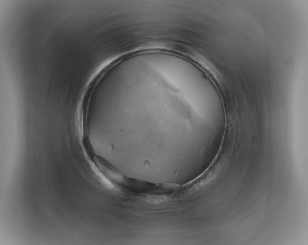 X0000111031127200907021533