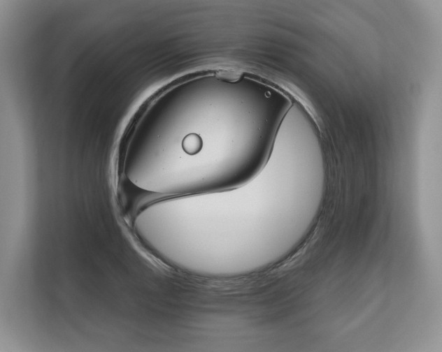 X0000111031128200907021533