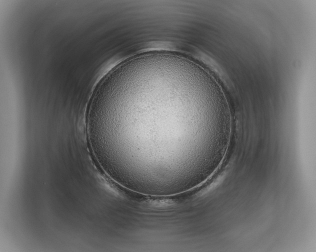 X0000111031129200907021533