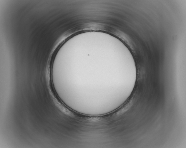 X0000111031130200907021533