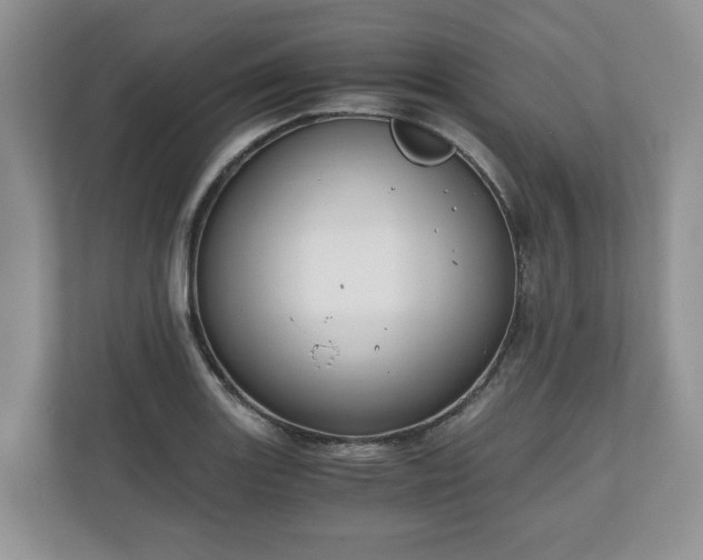 X0000111031131200907021533