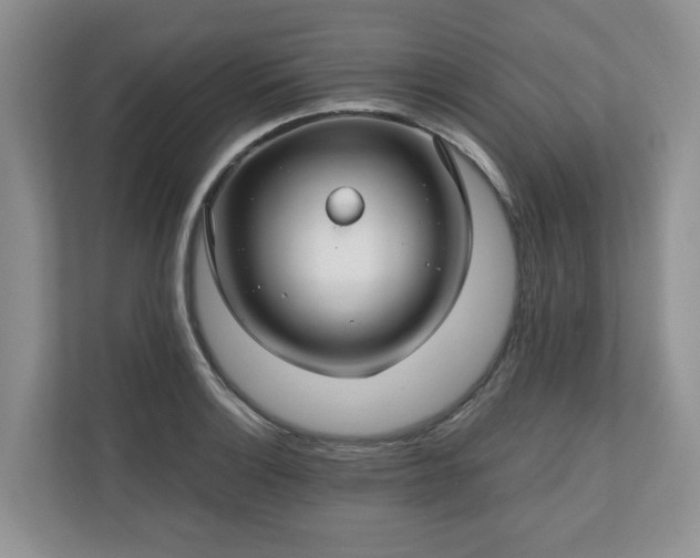 X0000111031132200907021533