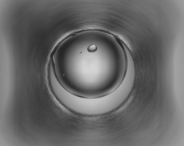 X0000111031134200907021533