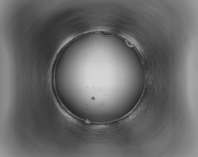 X0000111031135200907021533