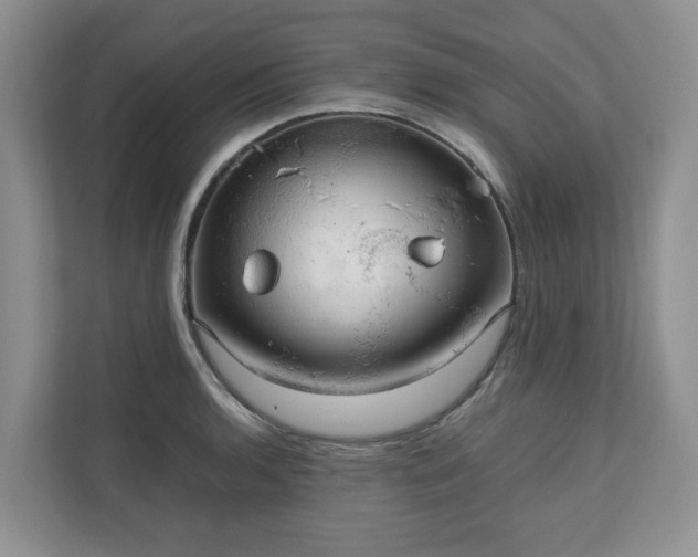 X0000111031136200907021533