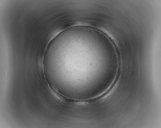 X0000111031137200907021533