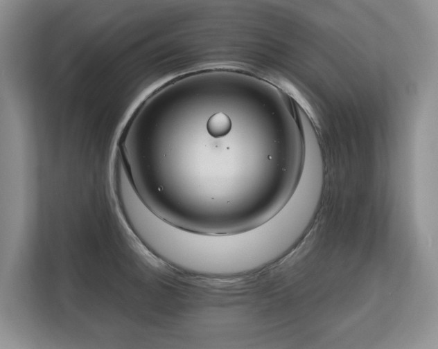 X0000111031140200907021533
