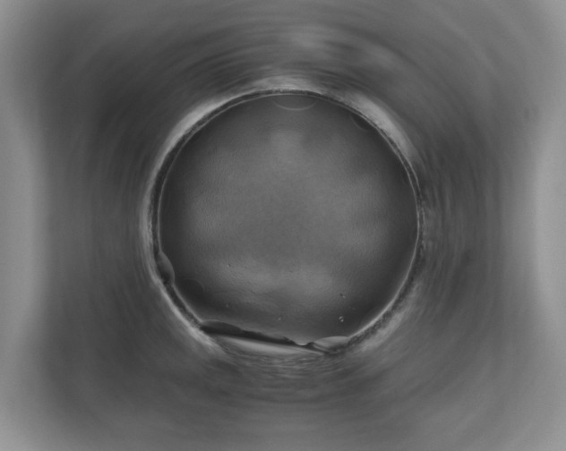 X0000111031141200907021533