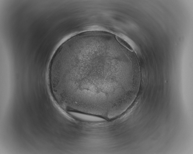 X0000111031142200907021533