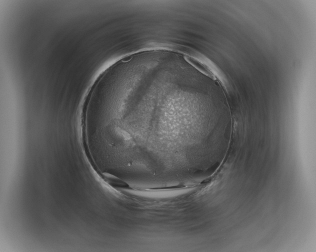 X0000111031143200907021533