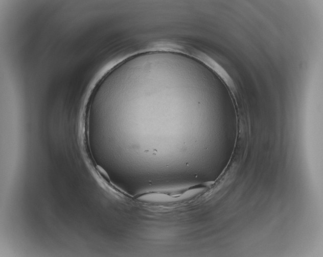X0000111031144200907021533