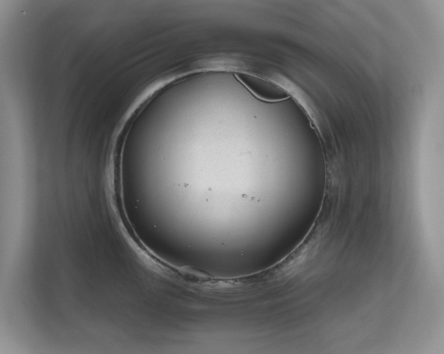X0000111031147200907021533