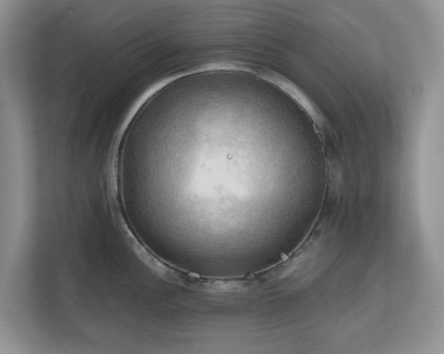 X0000111031148200907021533