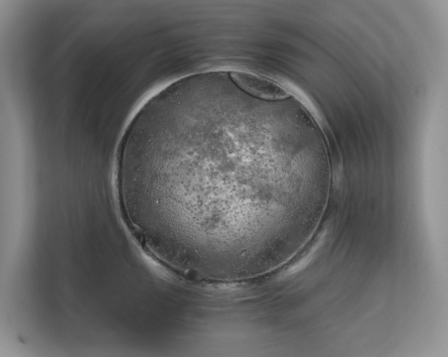 X0000111031149200907021533