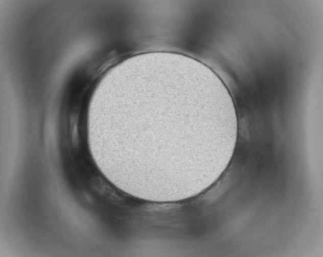 X0000111031150200907021533