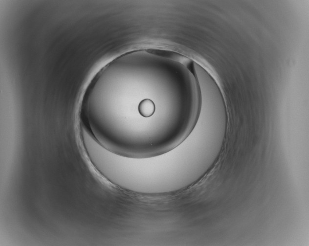 X0000111031152200907021533