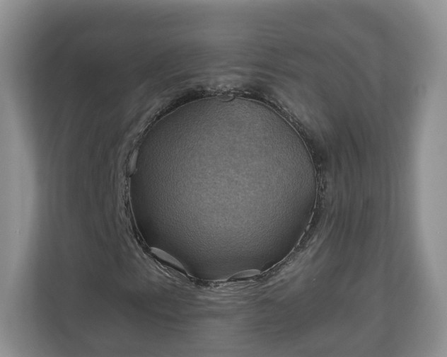 X0000111031153200907021532