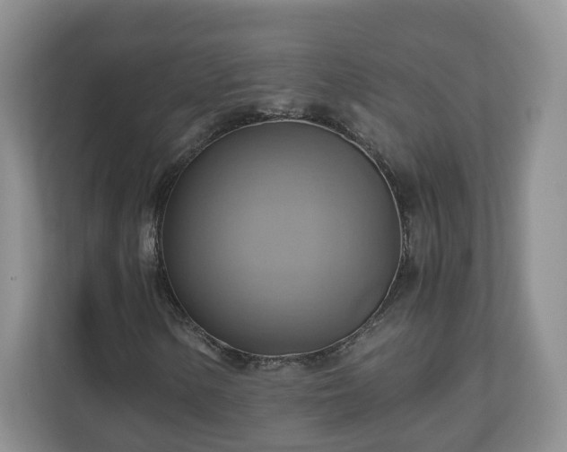 X0000111031154200907021532