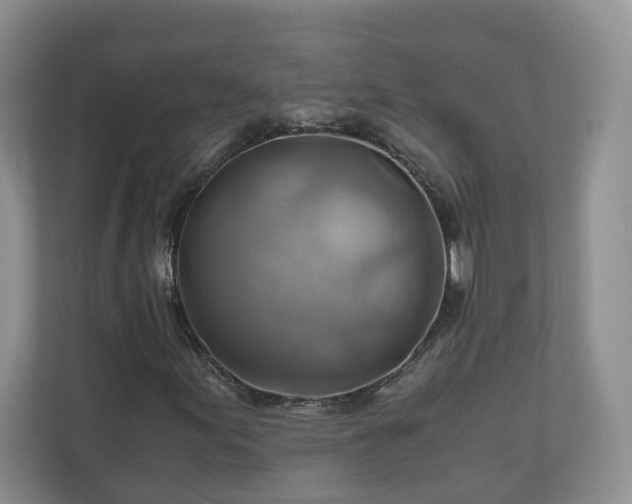 X0000111031155200907021532