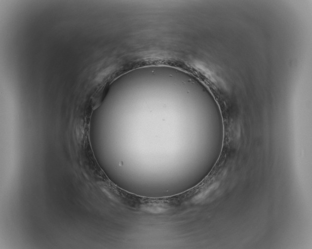 X0000111031157200907021532