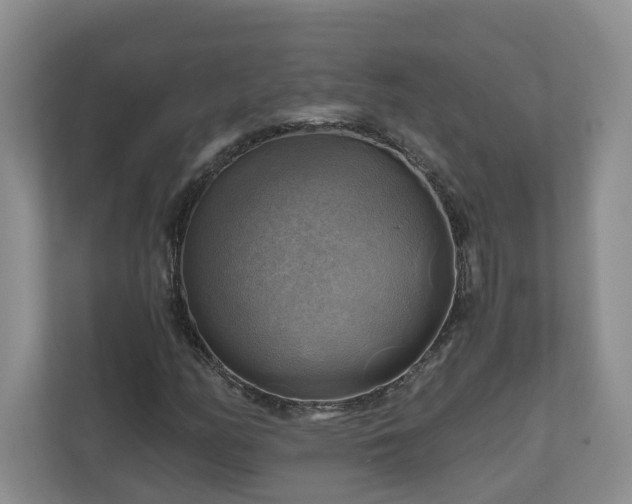 X0000111031158200907021532
