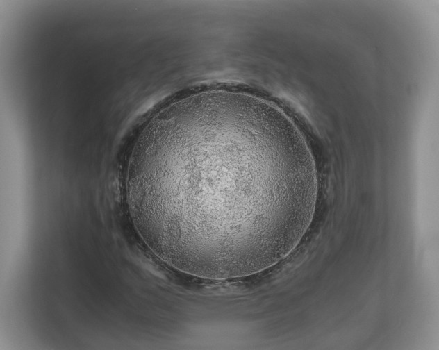 X0000111031159200907021532